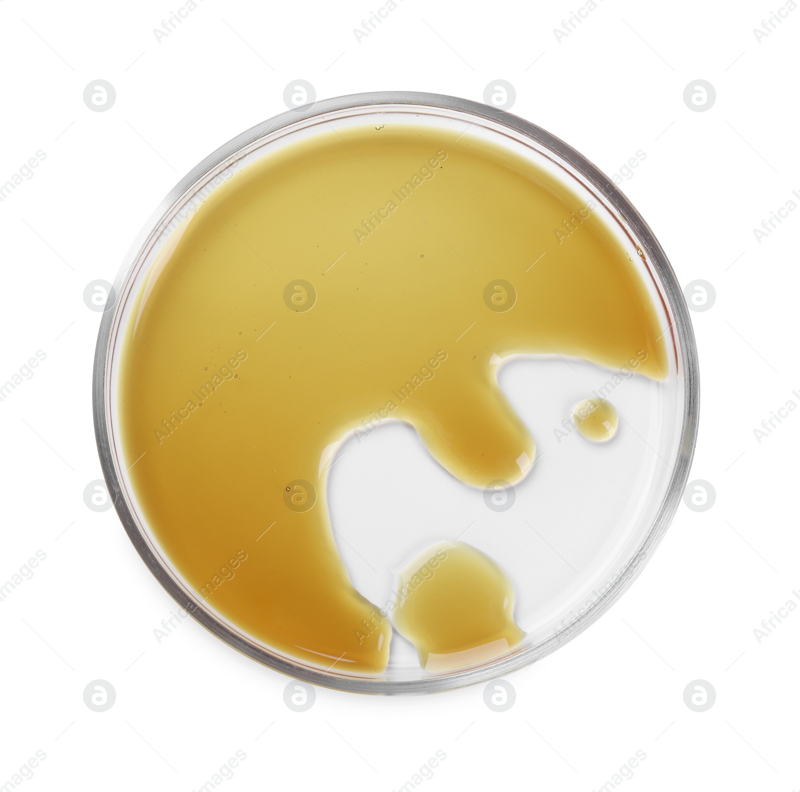 Photo of Petri dish with color liquid sample isolated on white, top view