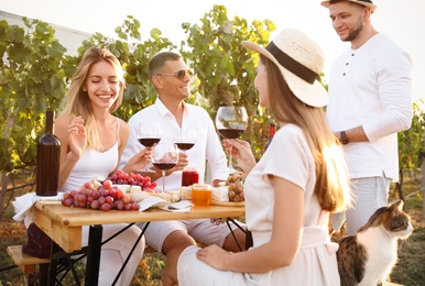 Photo of Friends holding glasses of wine and having fun in vineyard