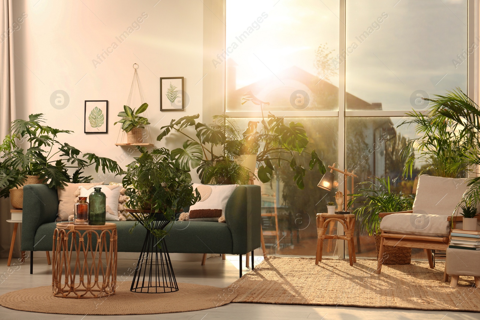 Image of Beautiful sunlit living room with stylish sofa and different houseplants