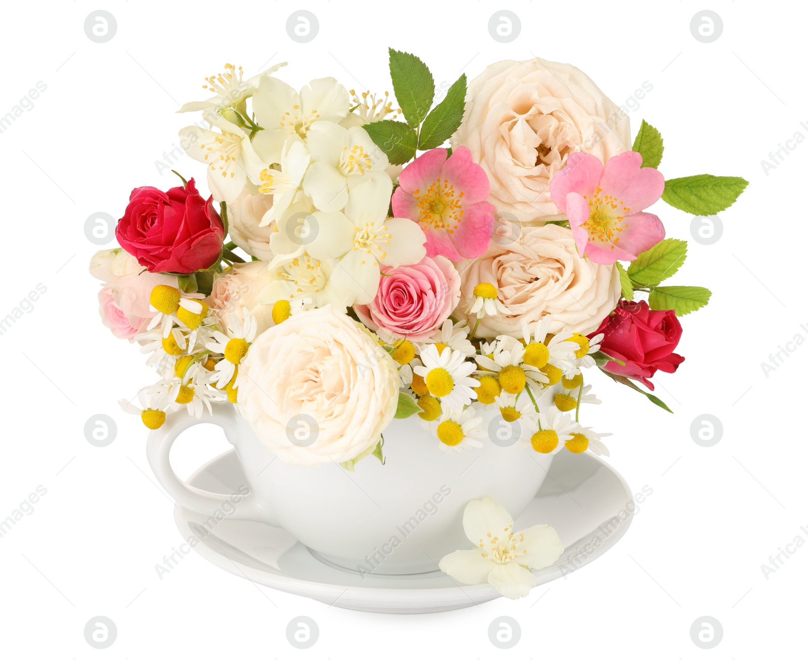 Photo of Aromatic herbal tea in cup with different flowers isolated on white