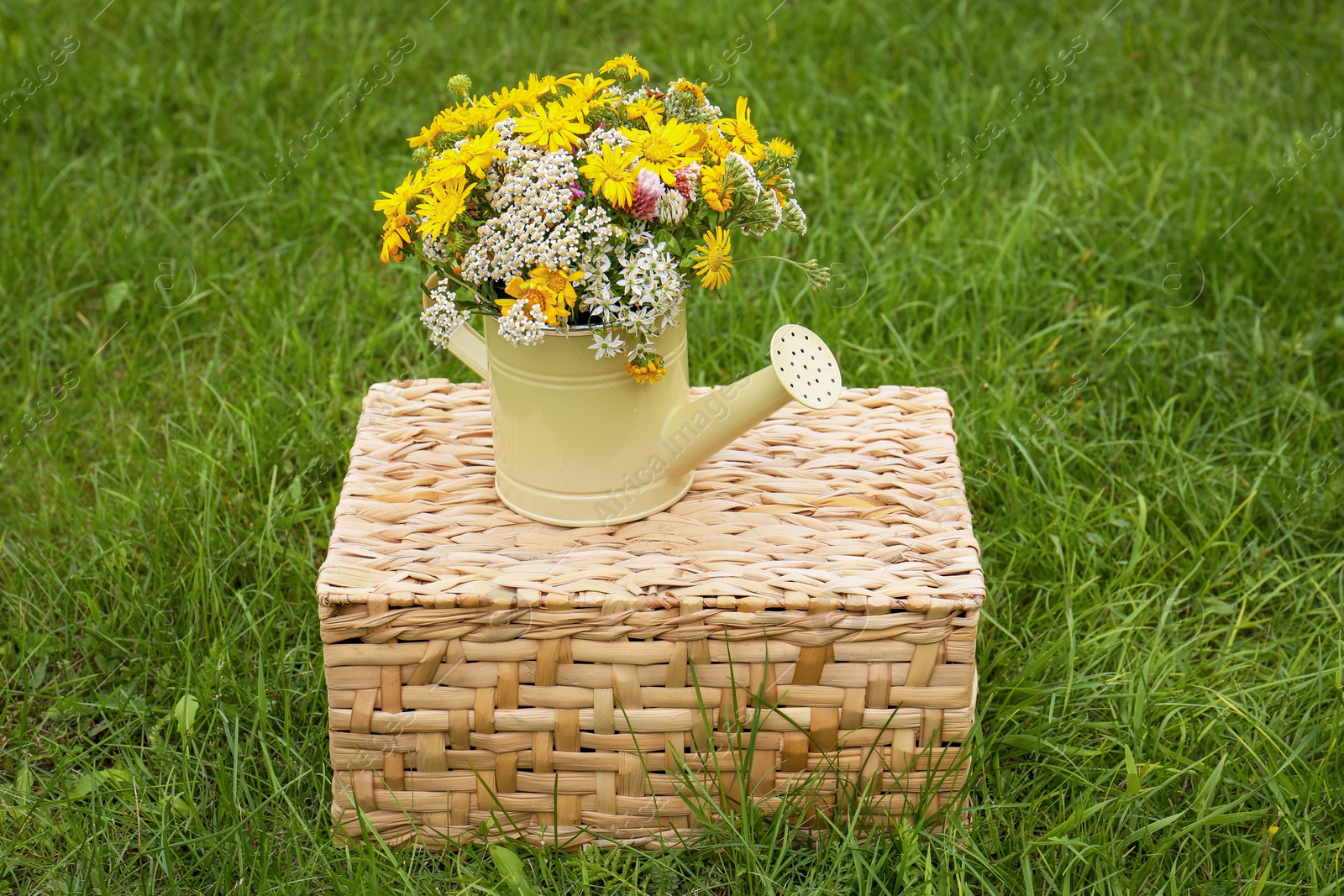 Photo of Pale yellow watering can with beautiful flowers on wicker box outdoors