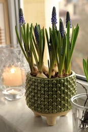 Photo of Beautiful bulbous plants and candles on windowsill indoors. Spring time