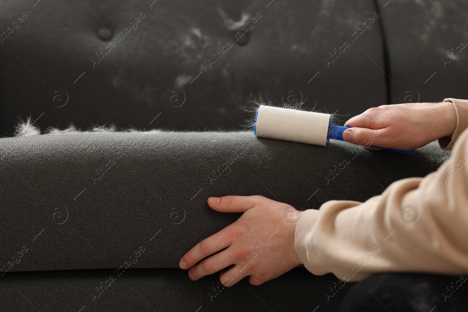 Photo of Pet shedding. Man with lint roller removing dog's hair from sofa, closeup