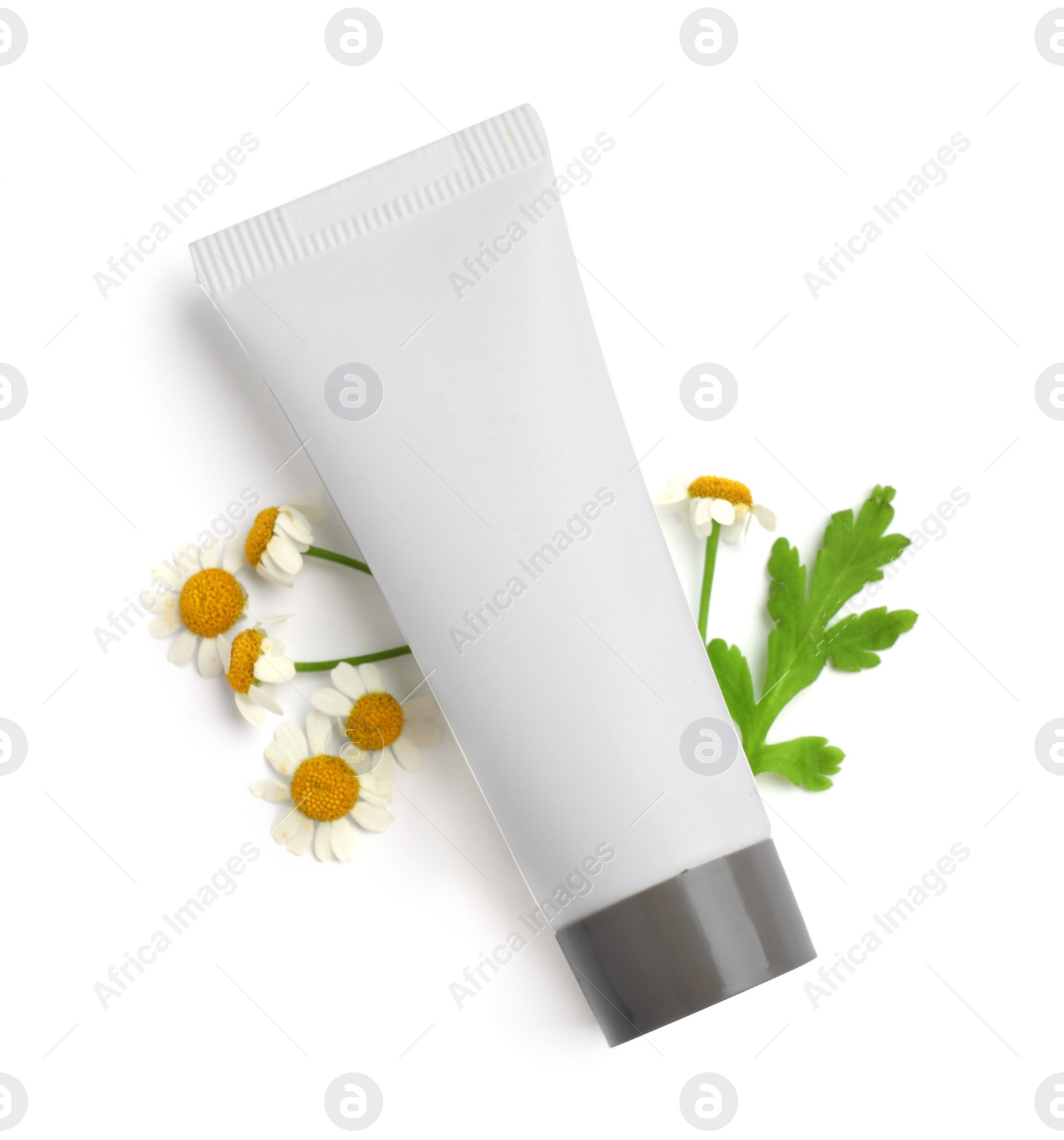 Photo of Blank tube of body cream with camomile flowers on white background, top view