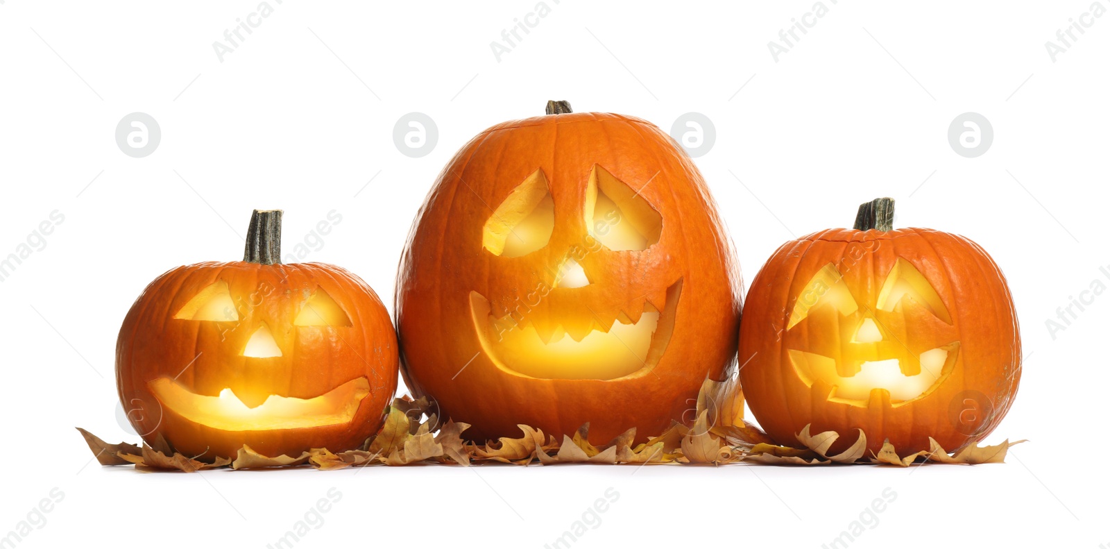 Photo of Cute pumpkin jack o'lanterns and autumn leaves on white background. Halloween decor