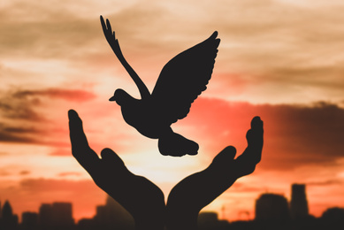 Image of  Silhouette of woman releasing bird against sky at sunset, closeup. Freedom concept