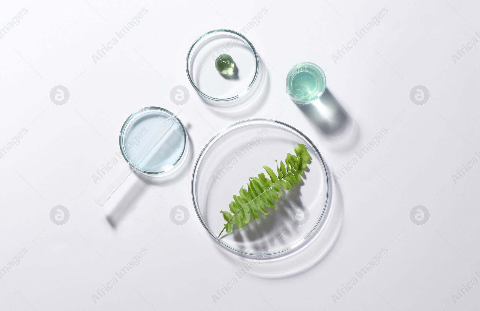 Photo of Organic cosmetic product, natural ingredient and laboratory glassware on white background, top view