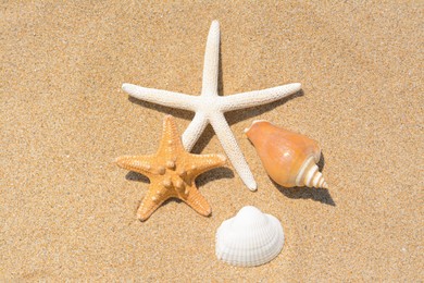 Photo of Beautiful starfishes and sea shells on sandy beach, flat lay