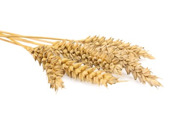 Ears of dried wheat on white background