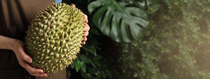 Image of Woman holding fresh ripe durian outdoors, closeup view with space for text. Banner design