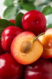 Photo of Delicious ripe cherry plums with leaves, closeup