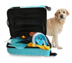 Cute dog and bright suitcase packed for journey on white background. Travelling with pet