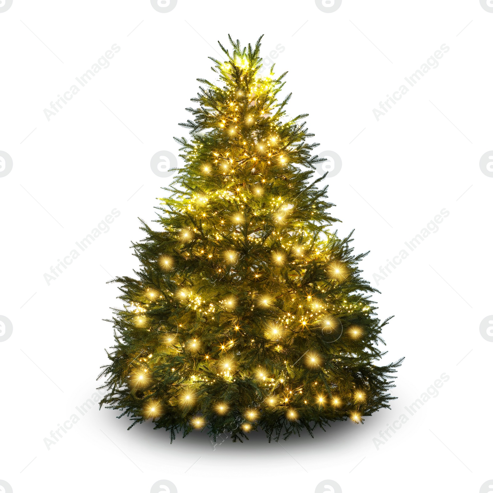 Image of Christmas tree decorated and festive lights isolated on white