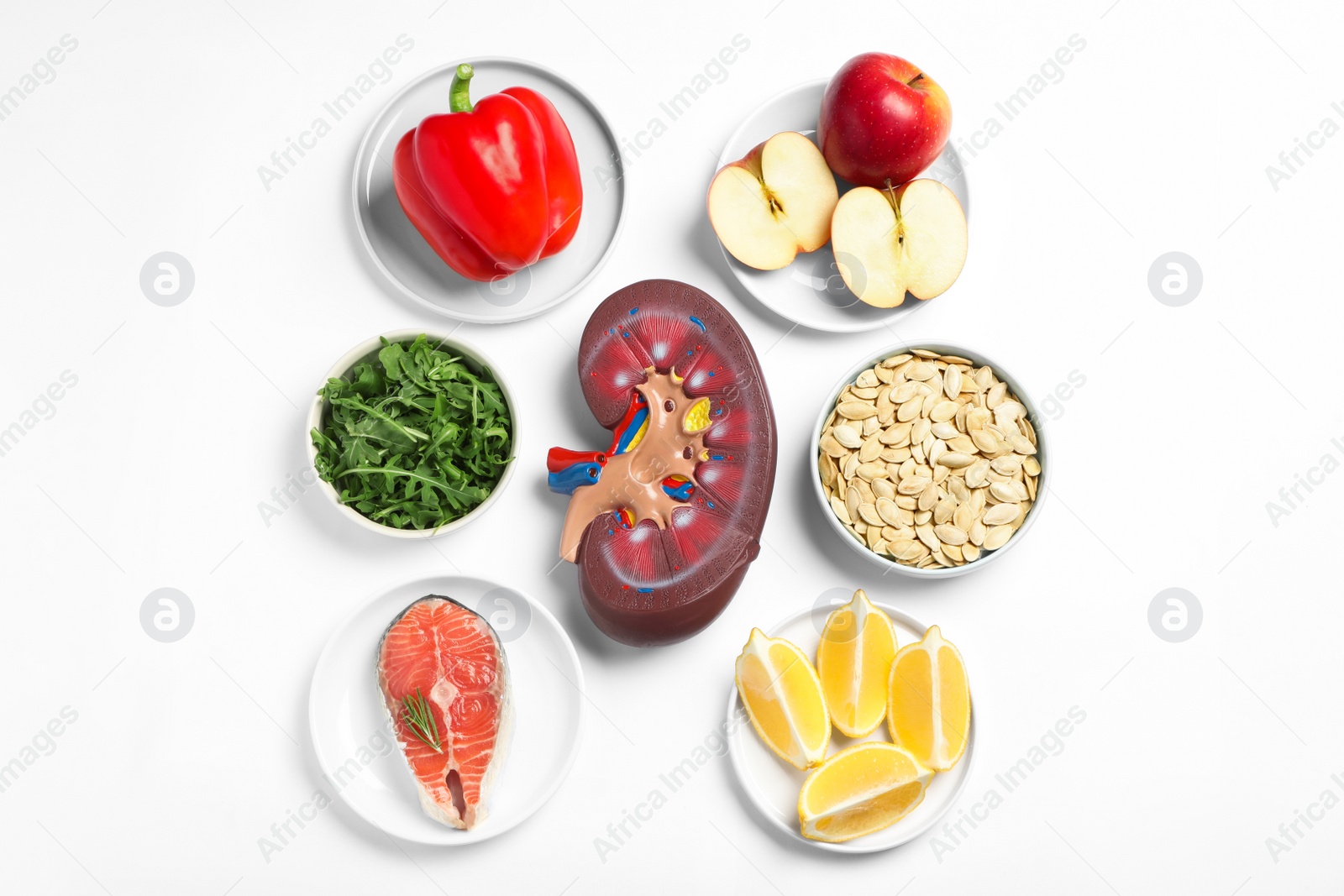 Photo of Kidney model and different healthy products on white background, flat lay