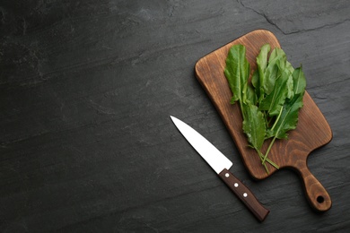 Photo of Cutting board with sorrel and knife on dark grey background, flat lay. Space for text