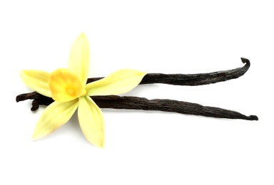 Aromatic vanilla sticks and flower on white background