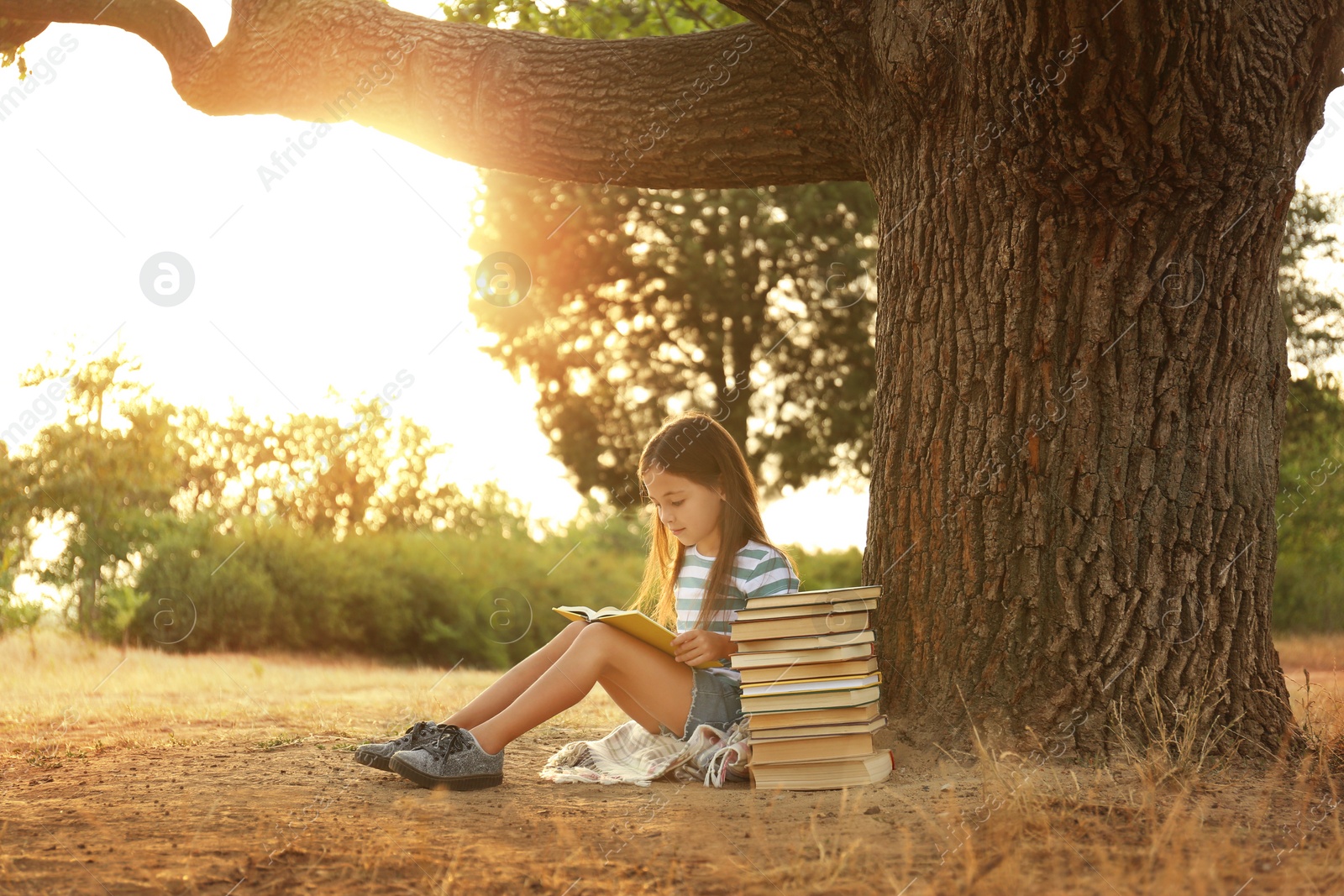 Photo of Cute little girl reading book near tree in park