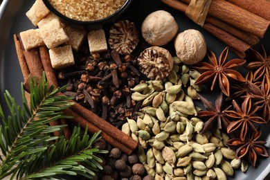 Different aromatic spices and fir branches on plate, top view