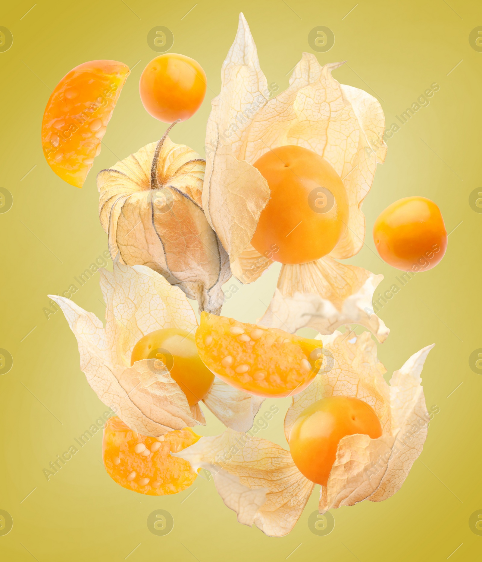 Image of Ripe orange physalis fruits with calyx falling on color background