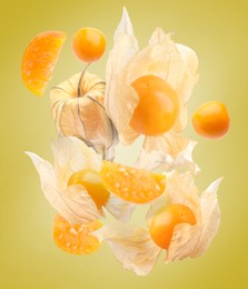 Ripe orange physalis fruits with calyx falling on color background