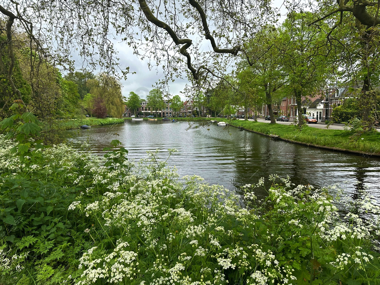 Photo of City canal and wildflowers on cloudy day