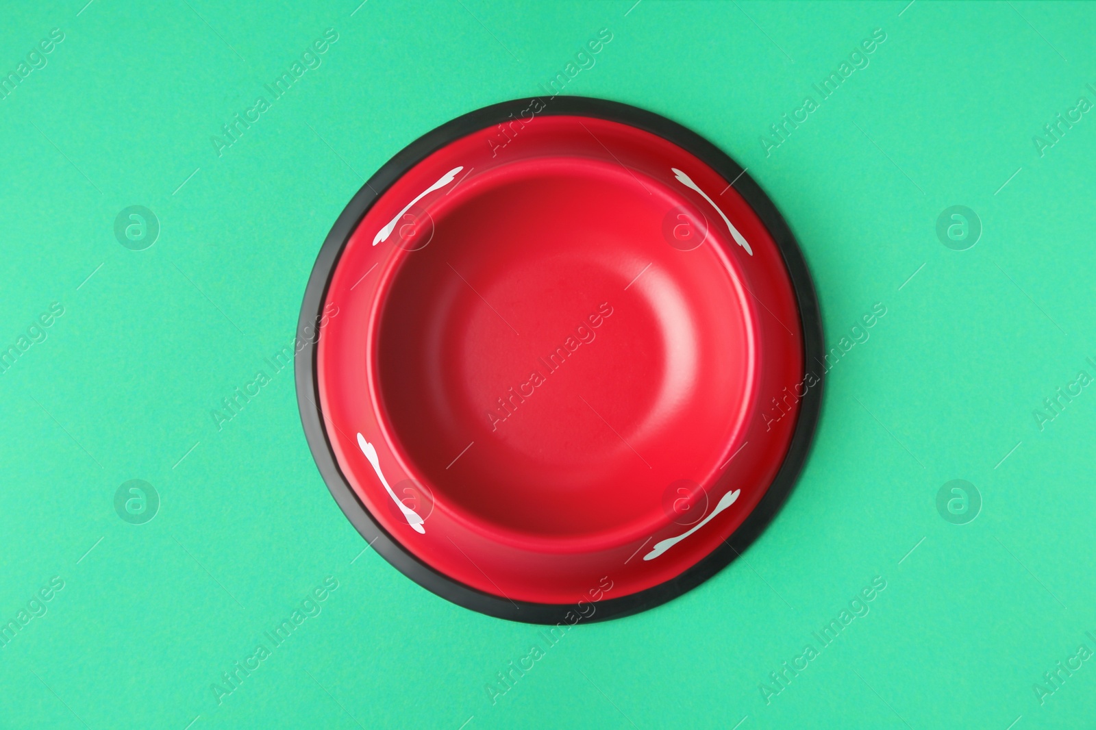 Photo of Empty red feeding bowl on green background, top view