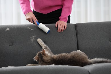 Pet shedding. Woman with lint roller removing cat`s hair from sofa at home, closeup