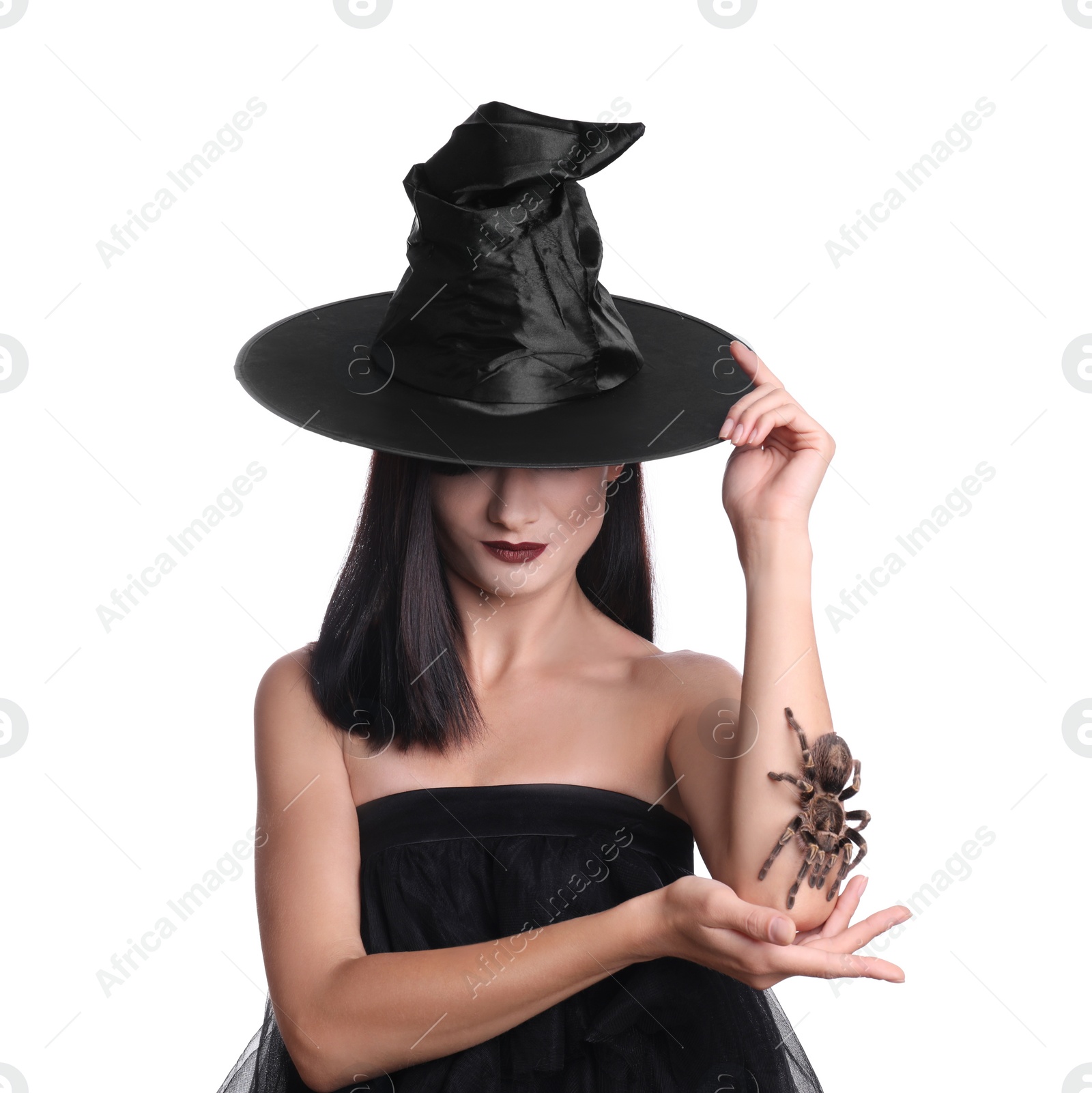 Photo of Mysterious witch in hat with spider on white background