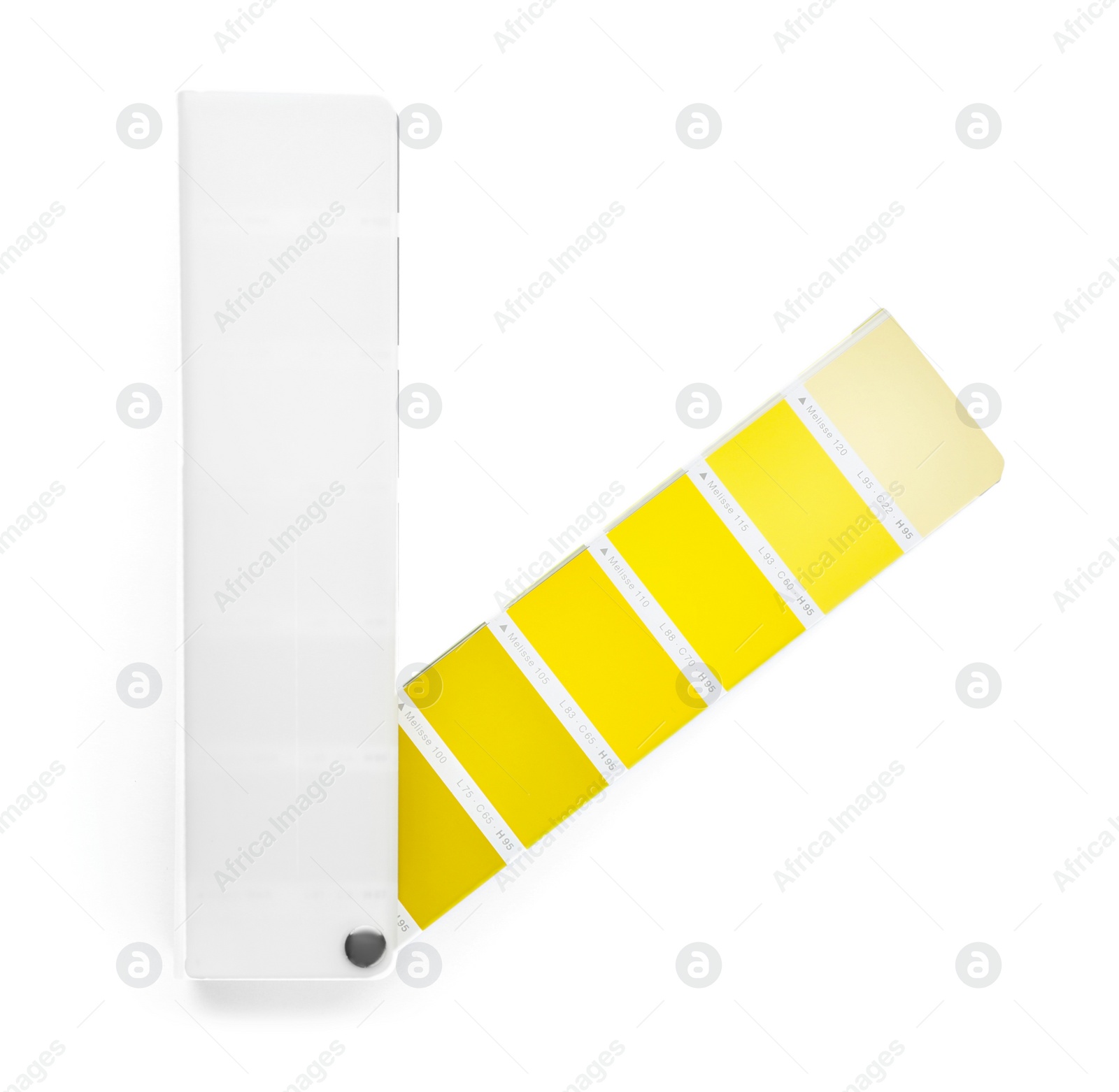 Photo of Color palette samples on white background