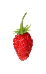 One ripe wild strawberry isolated on white
