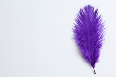 Photo of Beautiful delicate purple feather on white background. Space for text