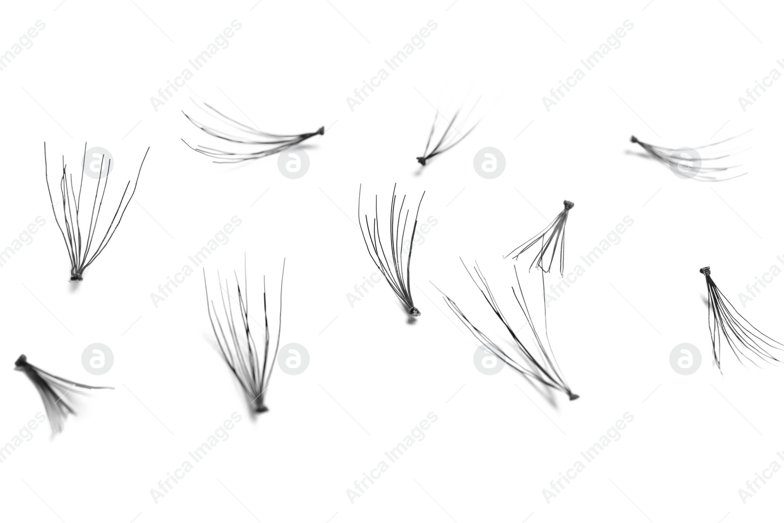 Photo of False eyelashes on white background