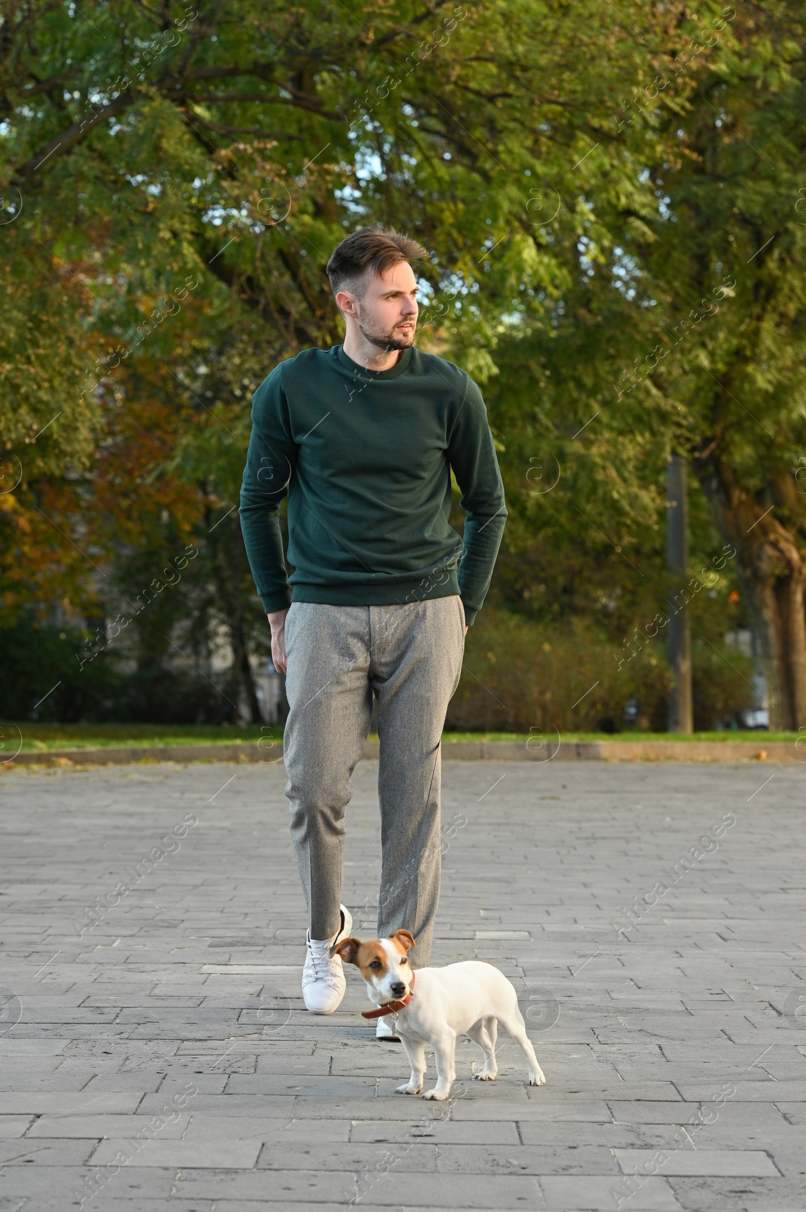 Photo of Man with adorable Jack Russell Terrier on city street. Dog walking