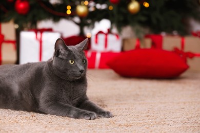 Cute cat in room decorated for Christmas