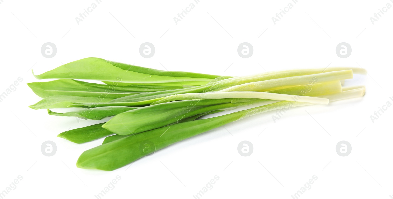 Photo of Fresh wild garlic or ramson isolated on white