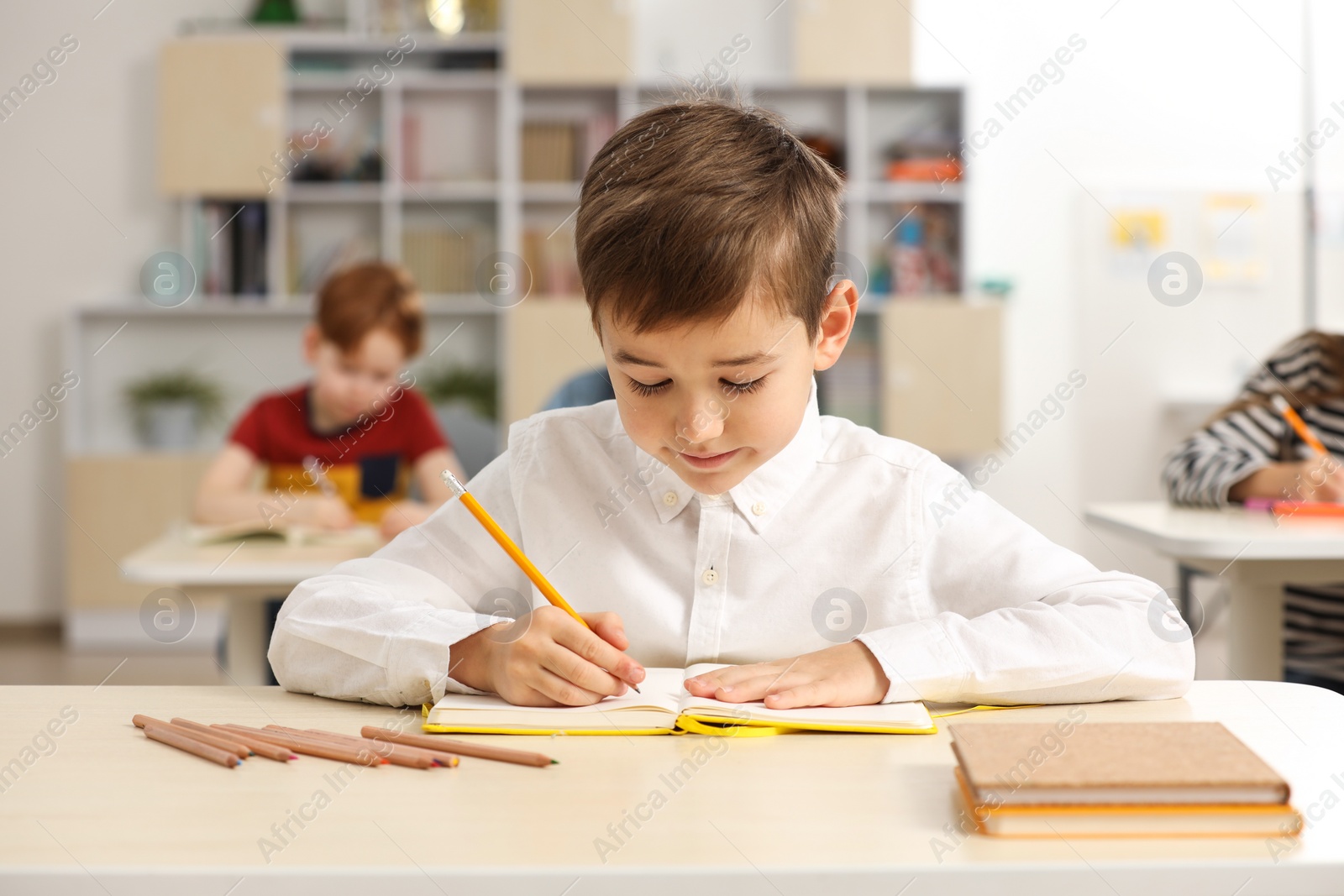 Photo of Portrait of cute little boy studying in classroom at school