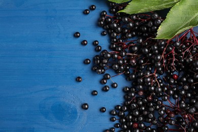 Photo of Ripe elderberries with green leaves on blue wooden table, flat lay. Space for text