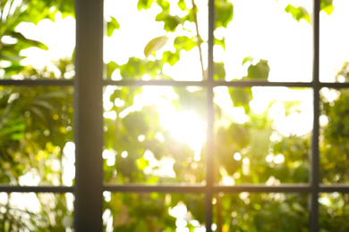 Photo of Blurred view through window on garden in morning