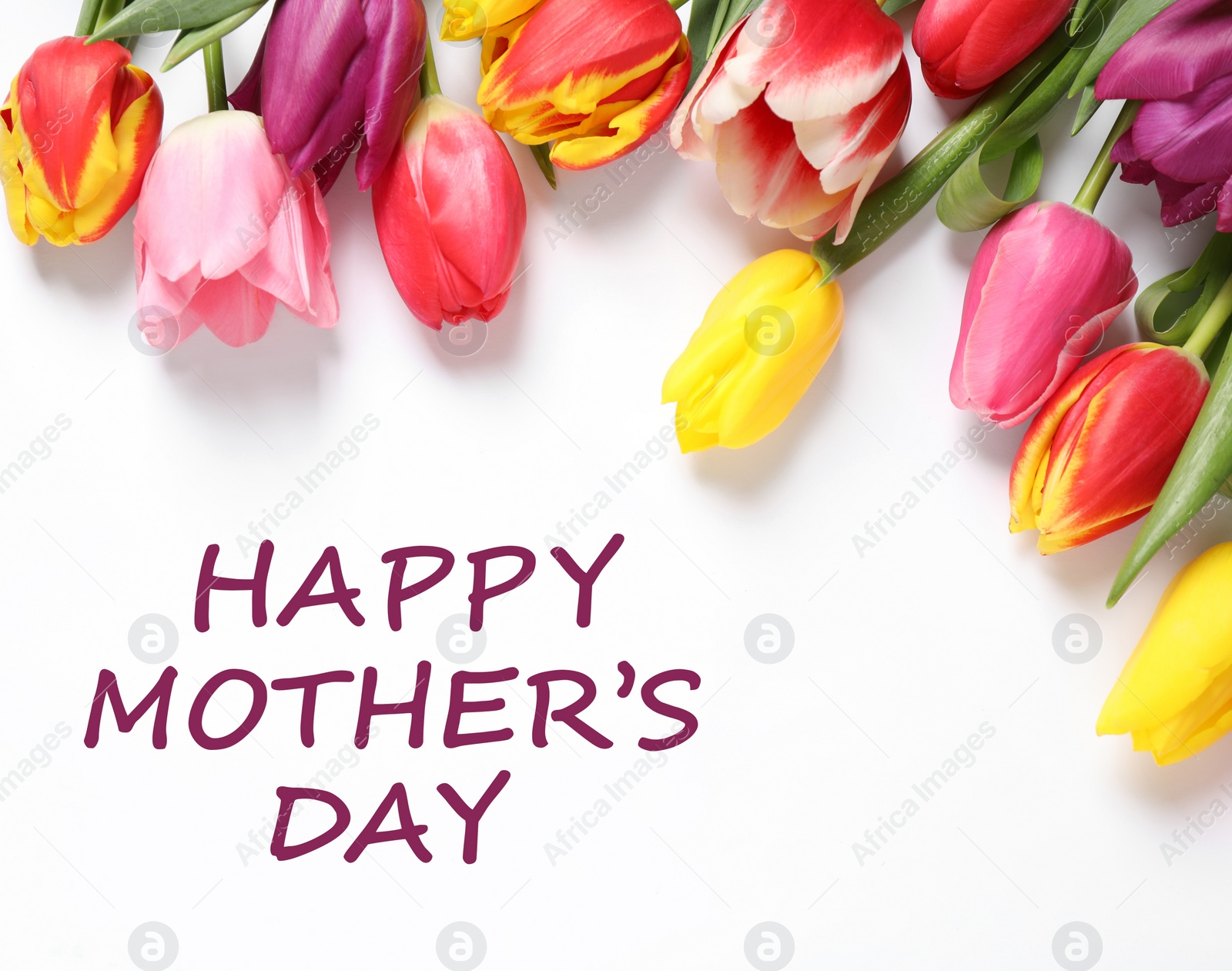 Image of Beautiful tulips and phrase HAPPY MOTHER'S DAY on white background, top view