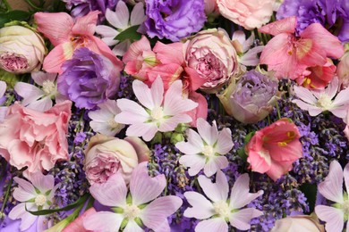 Photo of Different beautiful flowers as background, closeup view