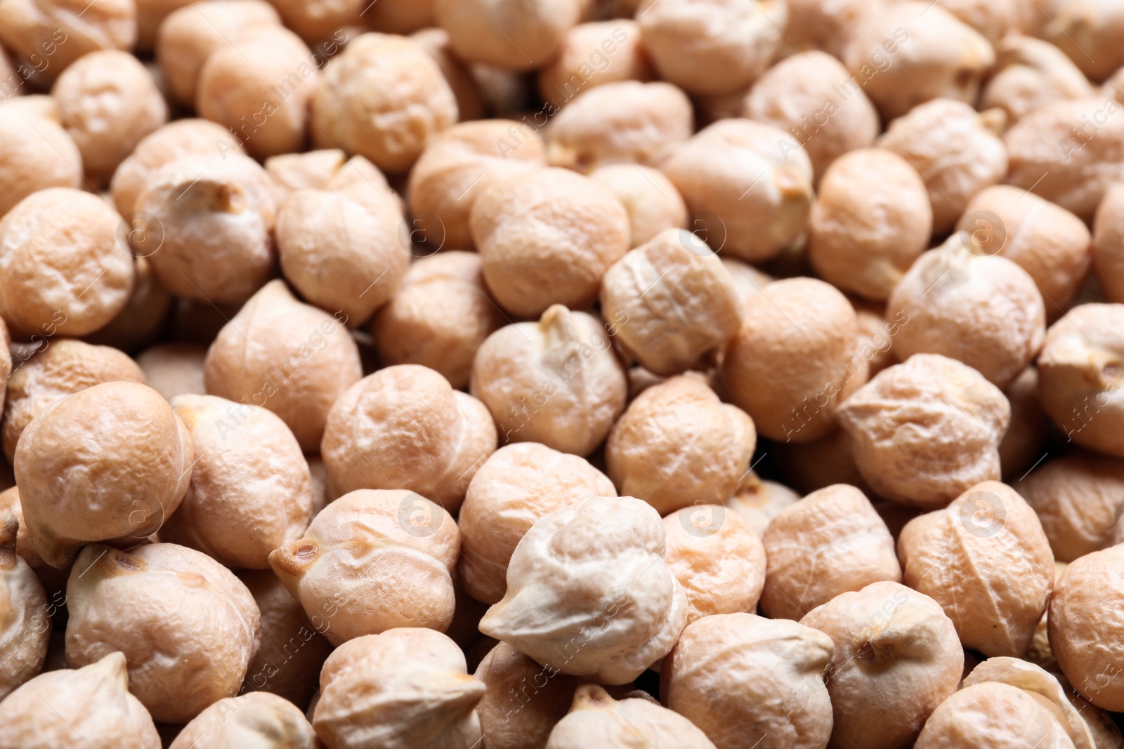 Photo of Many chickpeas as background, closeup. Natural food