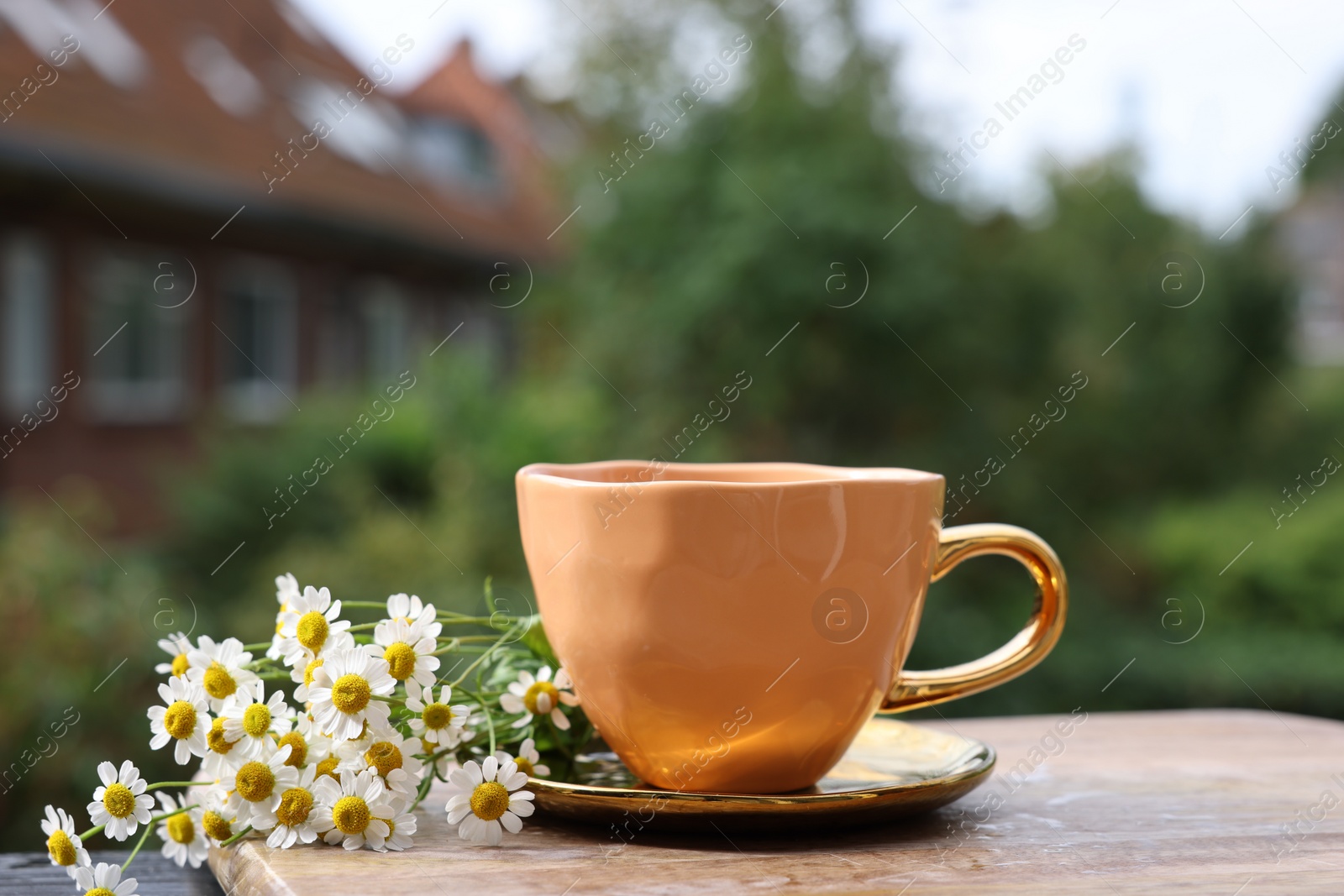 Photo of Cup of delicious chamomile tea and fresh flowers outdoors