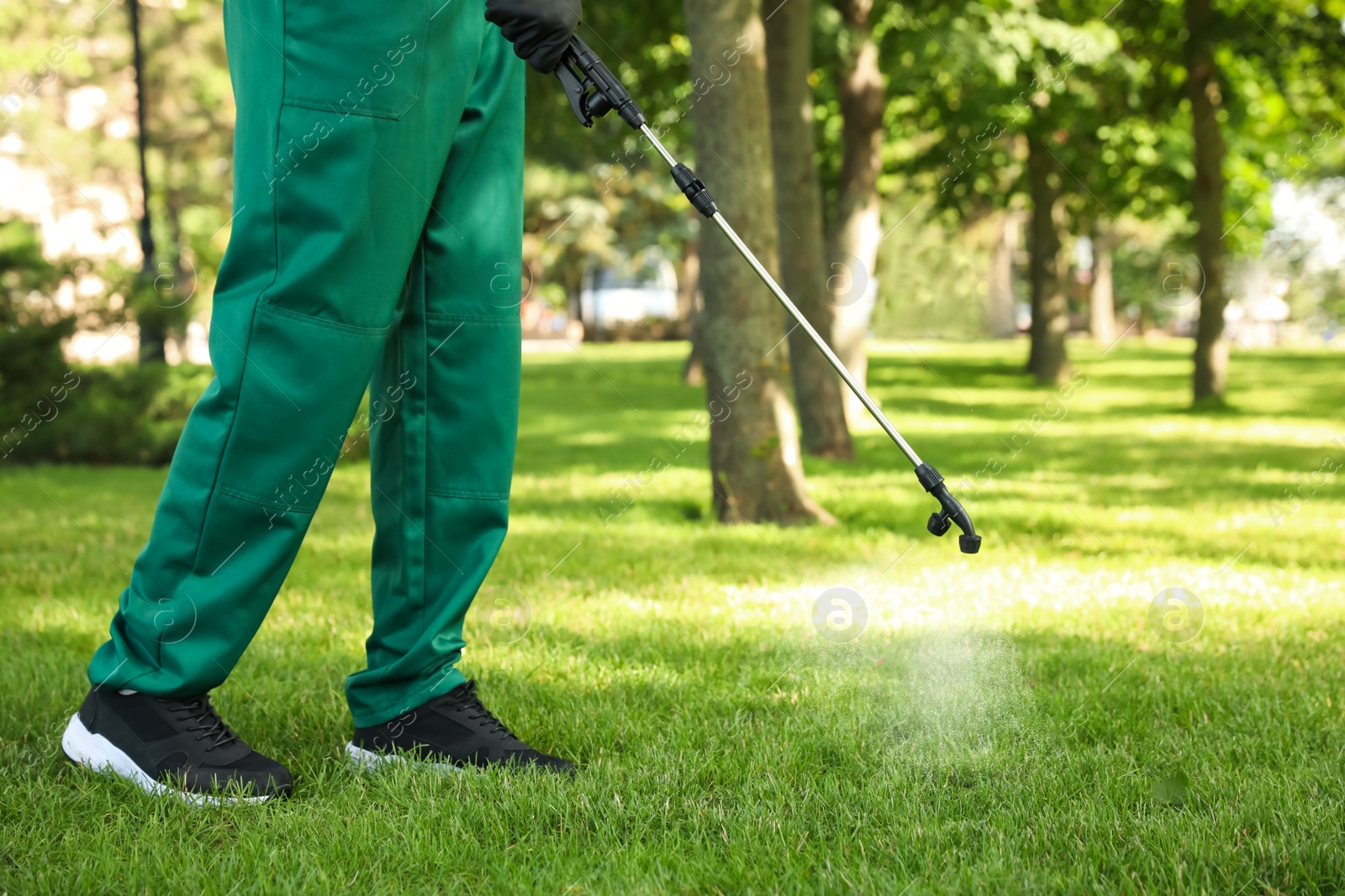 Photo of Worker spraying pesticide onto green lawn outdoors, closeup. Pest control