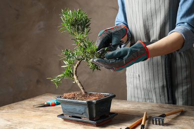 Woman trimming Japanese bonsai plant, closeup. Creating zen atmosphere at home