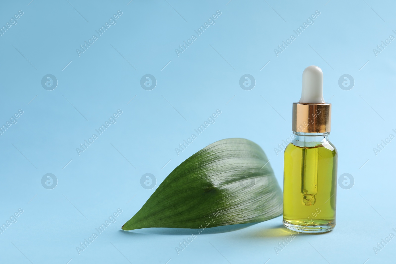 Photo of Bottle with cosmetic oil and green leaf on light blue background. Space for text