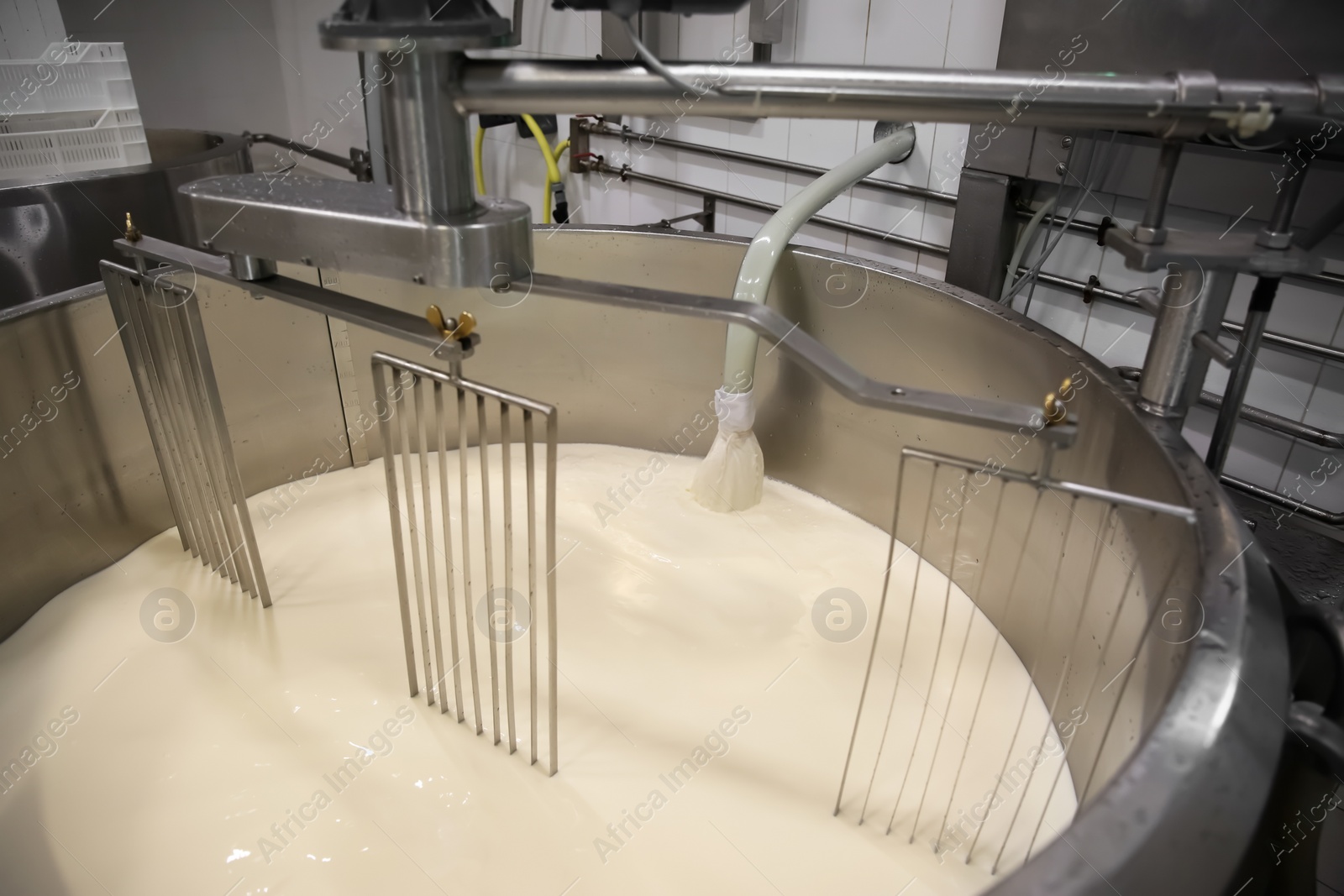 Photo of Pouring milk into curd preparation tank at cheese factory