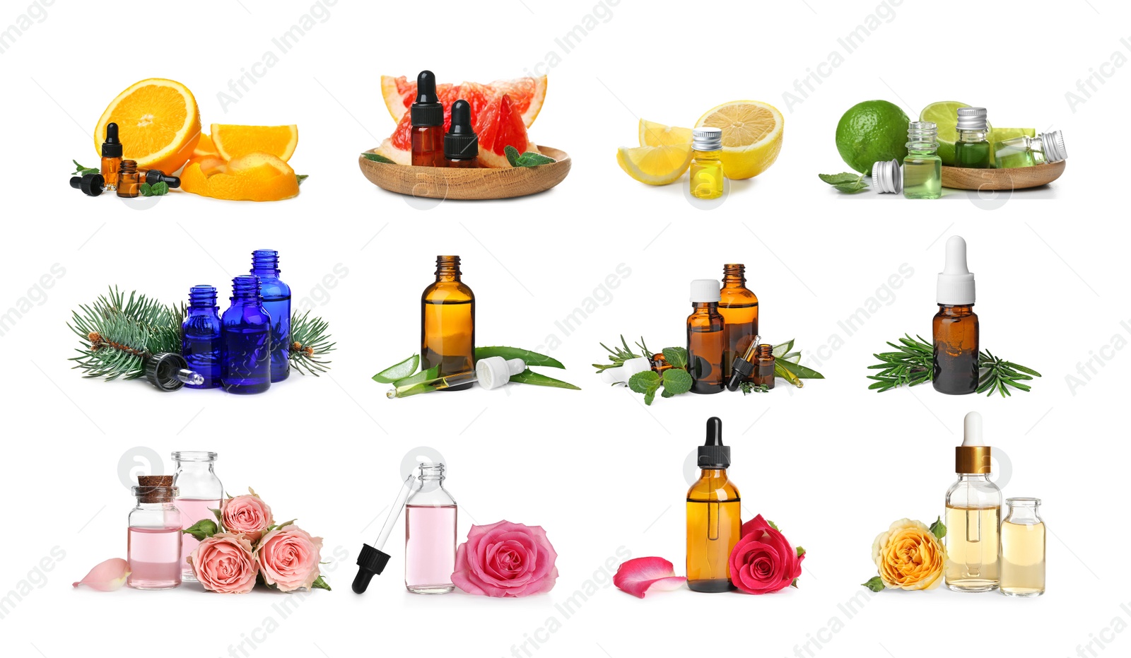 Image of Set with bottles of different essential oils on white background