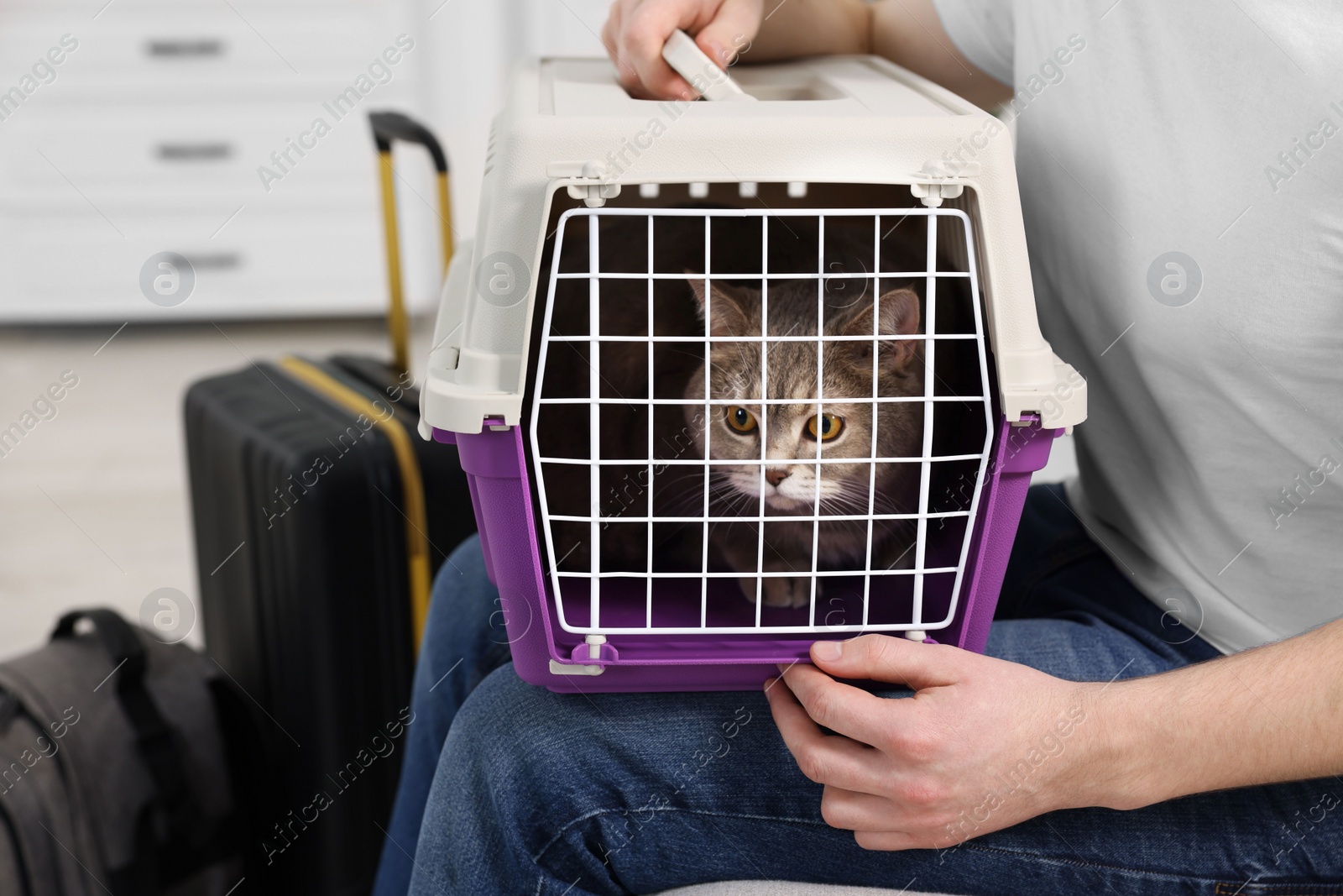 Photo of Travel with pet. Man holding carrier with cute cat indoors, closeup