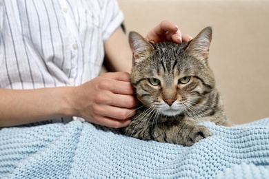 Photo of Cute tabby cat with owner on sofa, closeup. Friendly pet