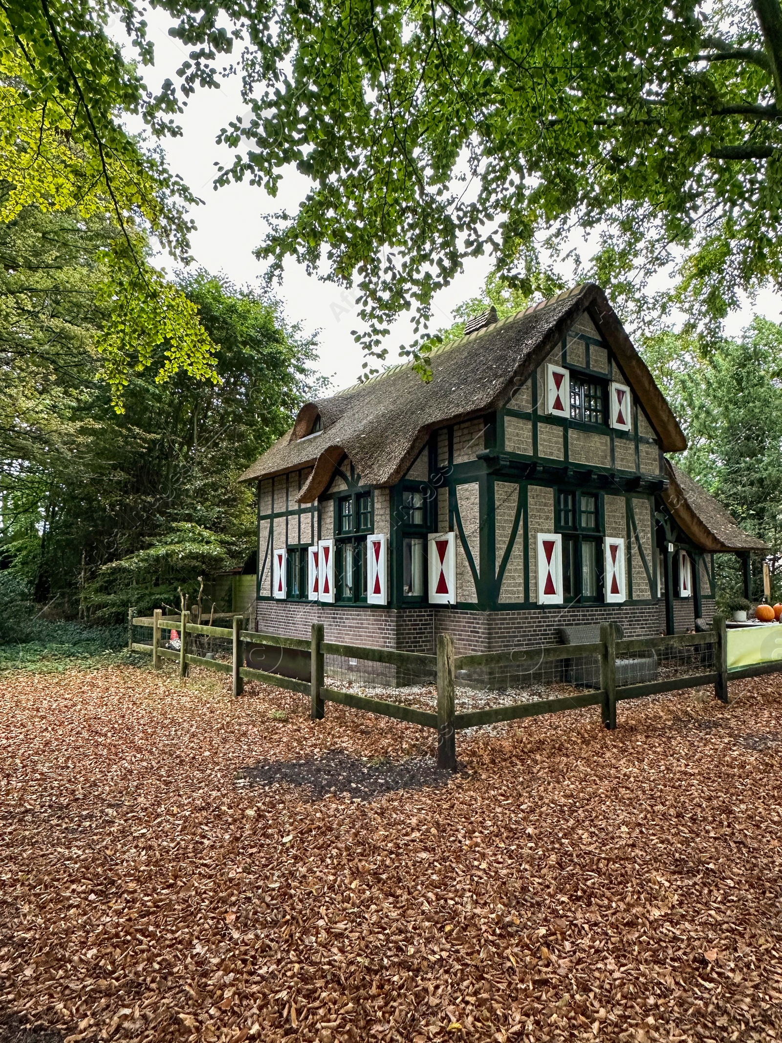 Photo of Beautiful grey house among trees in autumn park